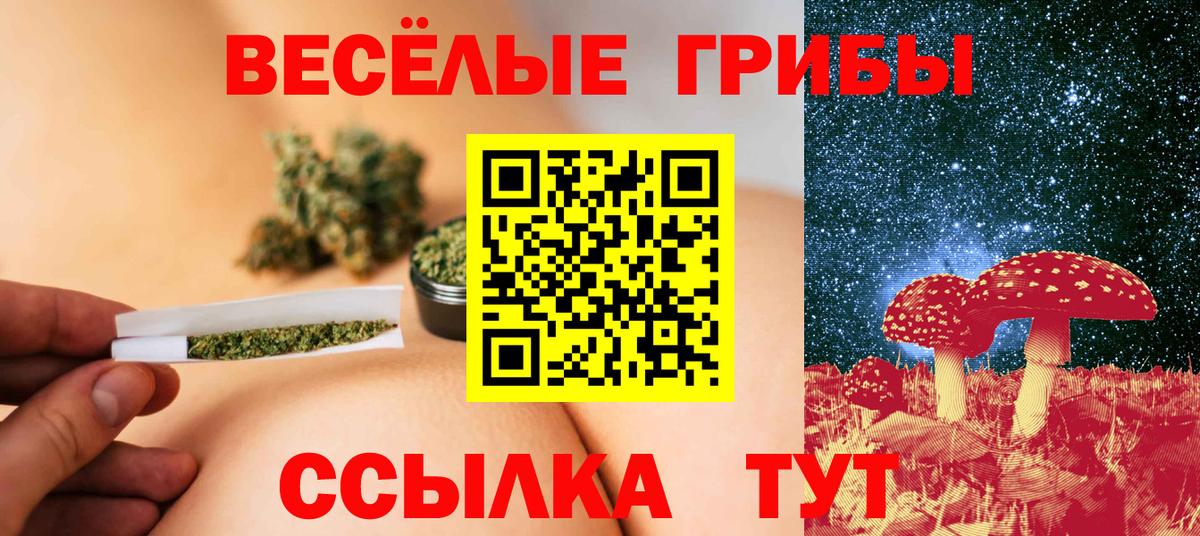Галлюциногенные грибы ЛСД  Вход с VPN  Нововоронеж  Галлюциногенные грибы ЛСД 